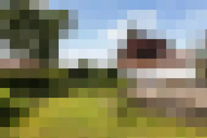 F.A. Molijnlaan 44 Nunspeet thumbnail 34