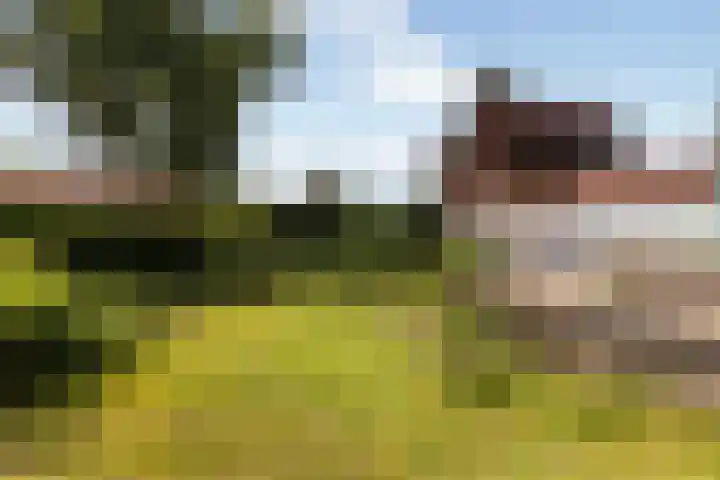 F.A. Molijnlaan 44 Nunspeet thumbnail 35