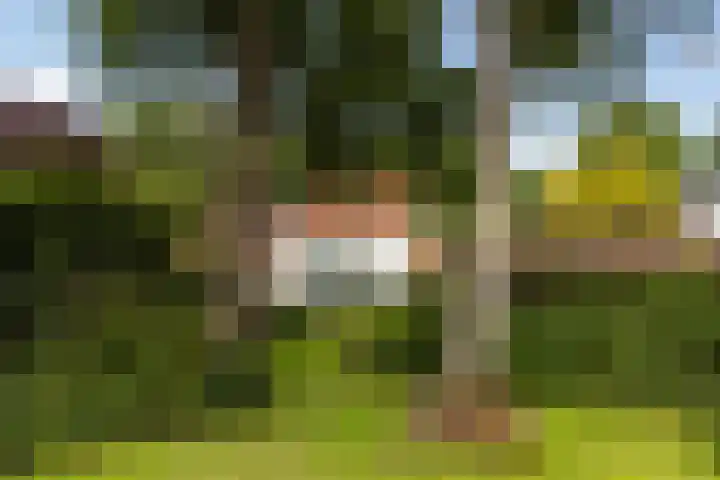 F.A. Molijnlaan 44 Nunspeet thumbnail 36
