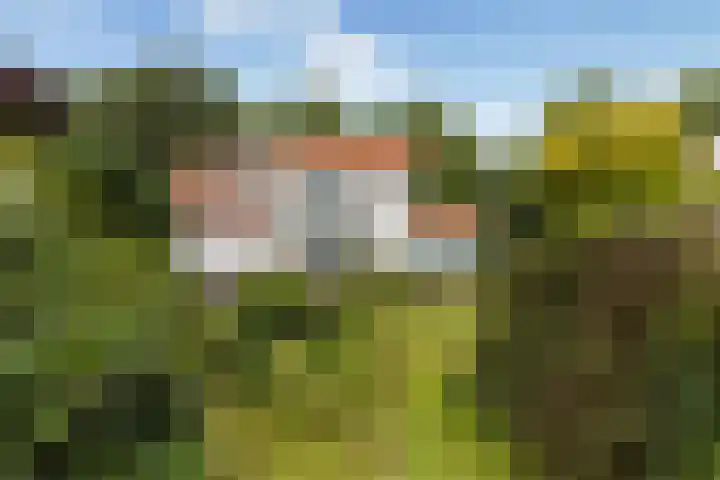F.A. Molijnlaan 44 Nunspeet thumbnail 37
