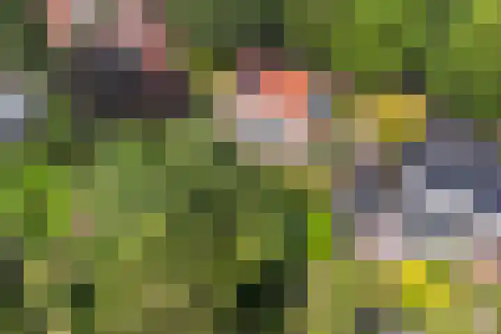 F.A. Molijnlaan 44 Nunspeet thumbnail 38