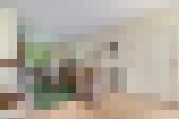 F.A. Molijnlaan 44 Nunspeet thumbnail 8
