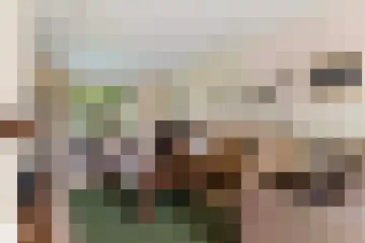 F.A. Molijnlaan 44 Nunspeet thumbnail 9
