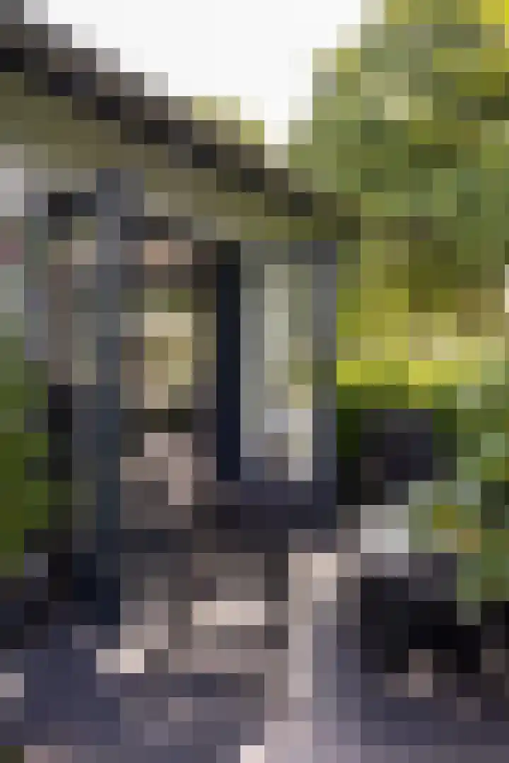 F.A. Molijnlaan 45 Nunspeet thumbnail 12