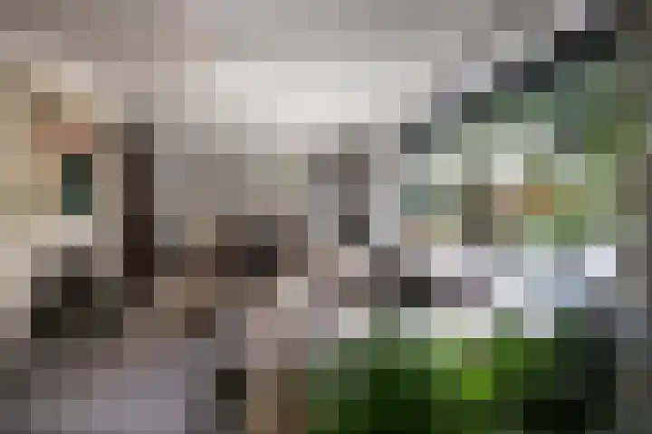 F.A. Molijnlaan 45 Nunspeet thumbnail 13