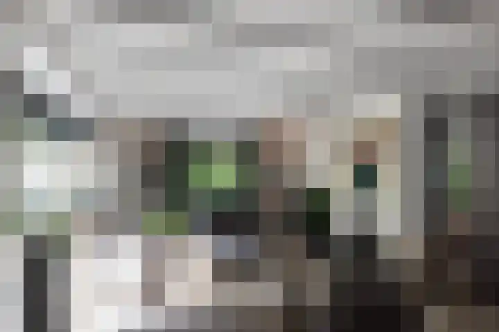 F.A. Molijnlaan 45 Nunspeet thumbnail 14