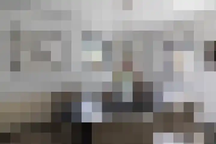 F.A. Molijnlaan 45 Nunspeet thumbnail 15