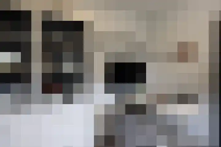 F.A. Molijnlaan 45 Nunspeet thumbnail 17