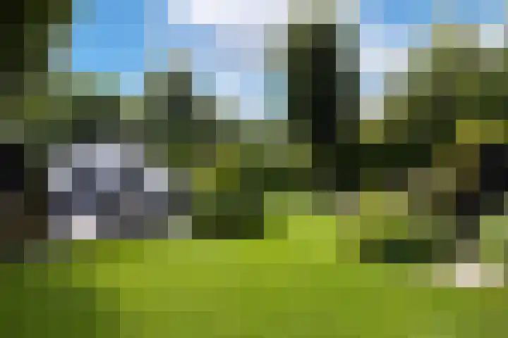 F.A. Molijnlaan 45 Nunspeet thumbnail 24