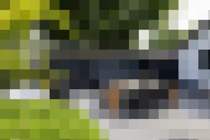F.A. Molijnlaan 45 Nunspeet thumbnail 25