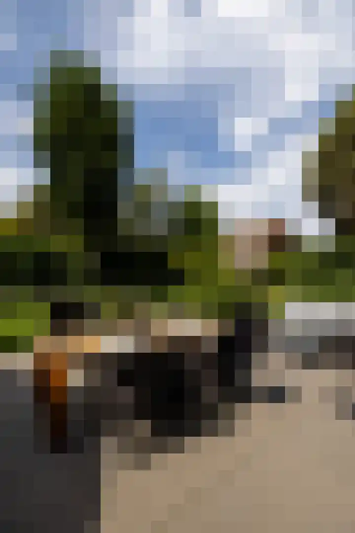 F.A. Molijnlaan 45 Nunspeet thumbnail 28