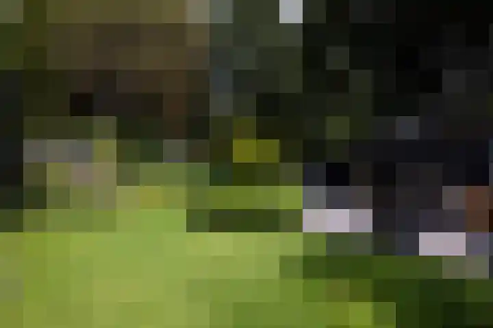 F.A. Molijnlaan 45 Nunspeet thumbnail 30