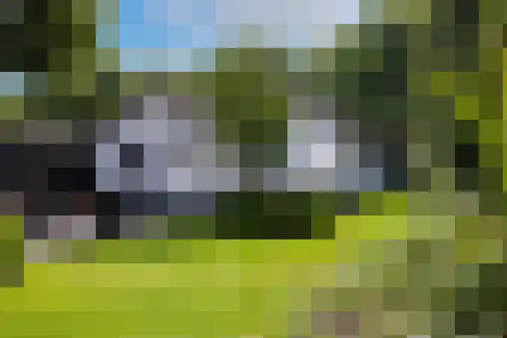 F.A. Molijnlaan 45 Nunspeet thumbnail 31
