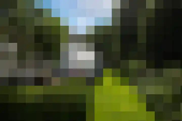 F.A. Molijnlaan 45 Nunspeet thumbnail 32
