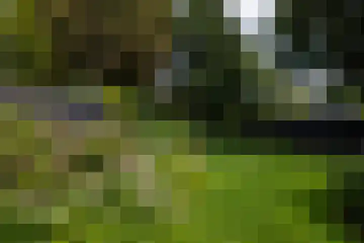 F.A. Molijnlaan 45 Nunspeet thumbnail 35