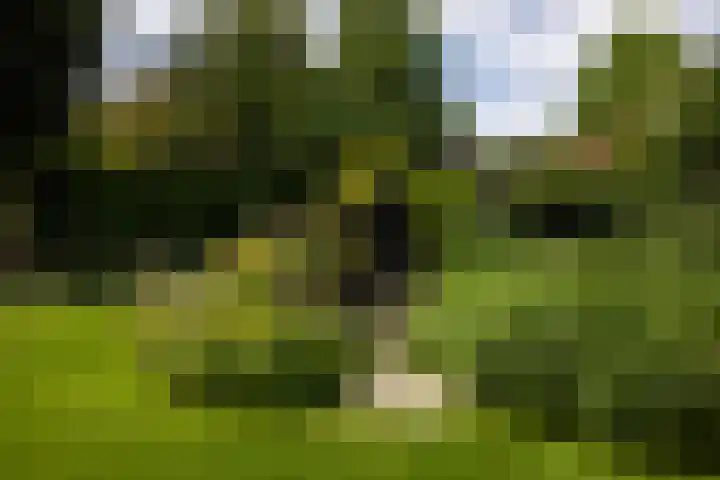 F.A. Molijnlaan 45 Nunspeet thumbnail 36
