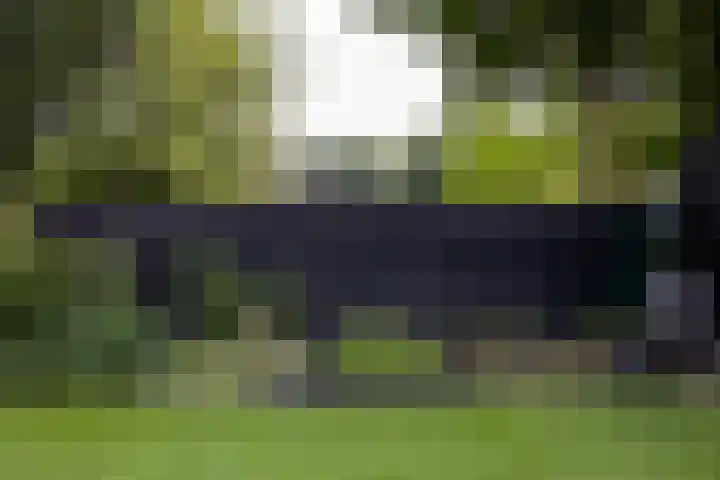 F.A. Molijnlaan 45 Nunspeet thumbnail 37