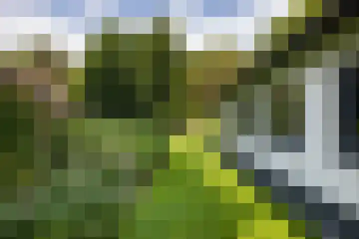 F.A. Molijnlaan 45 Nunspeet thumbnail 38