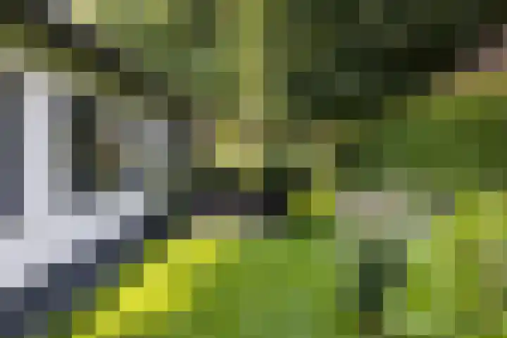 F.A. Molijnlaan 45 Nunspeet thumbnail 39