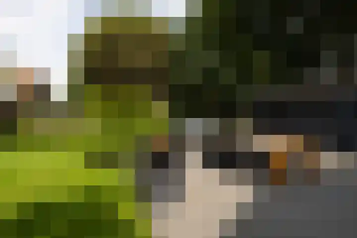 F.A. Molijnlaan 45 Nunspeet thumbnail 4
