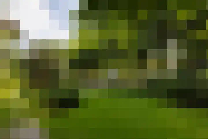 F.A. Molijnlaan 45 Nunspeet thumbnail 40