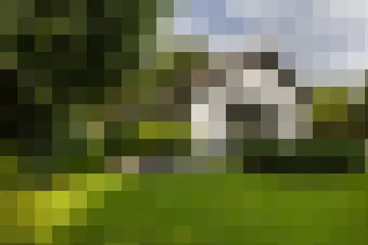 F.A. Molijnlaan 45 Nunspeet thumbnail 41