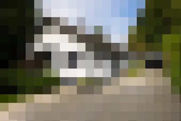F.A. Molijnlaan 45 Nunspeet thumbnail 43