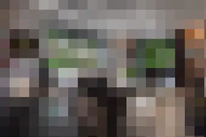 F.A. Molijnlaan 45 Nunspeet thumbnail 9