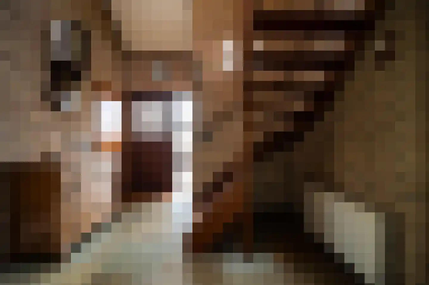 F.A. Molijnlaan 76 Nunspeet thumbnail 10