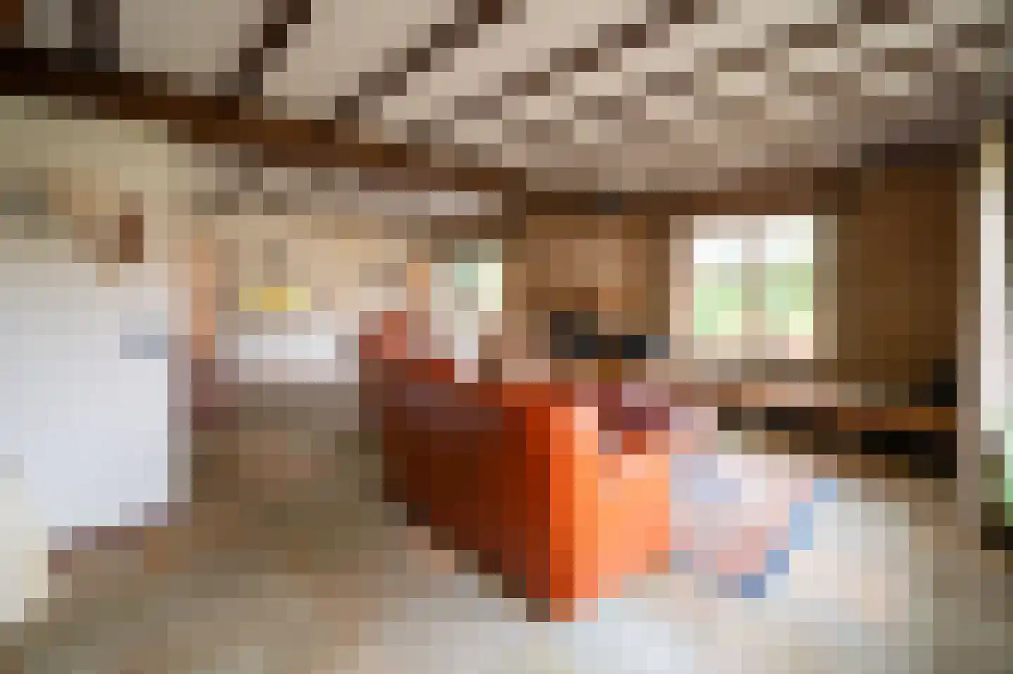 F.A. Molijnlaan 76 Nunspeet thumbnail 13