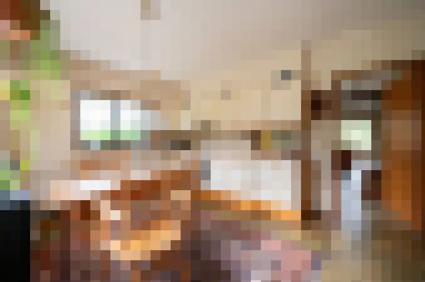 F.A. Molijnlaan 76 Nunspeet thumbnail 15