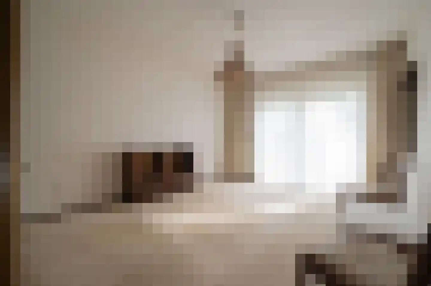 F.A. Molijnlaan 76 Nunspeet thumbnail 17