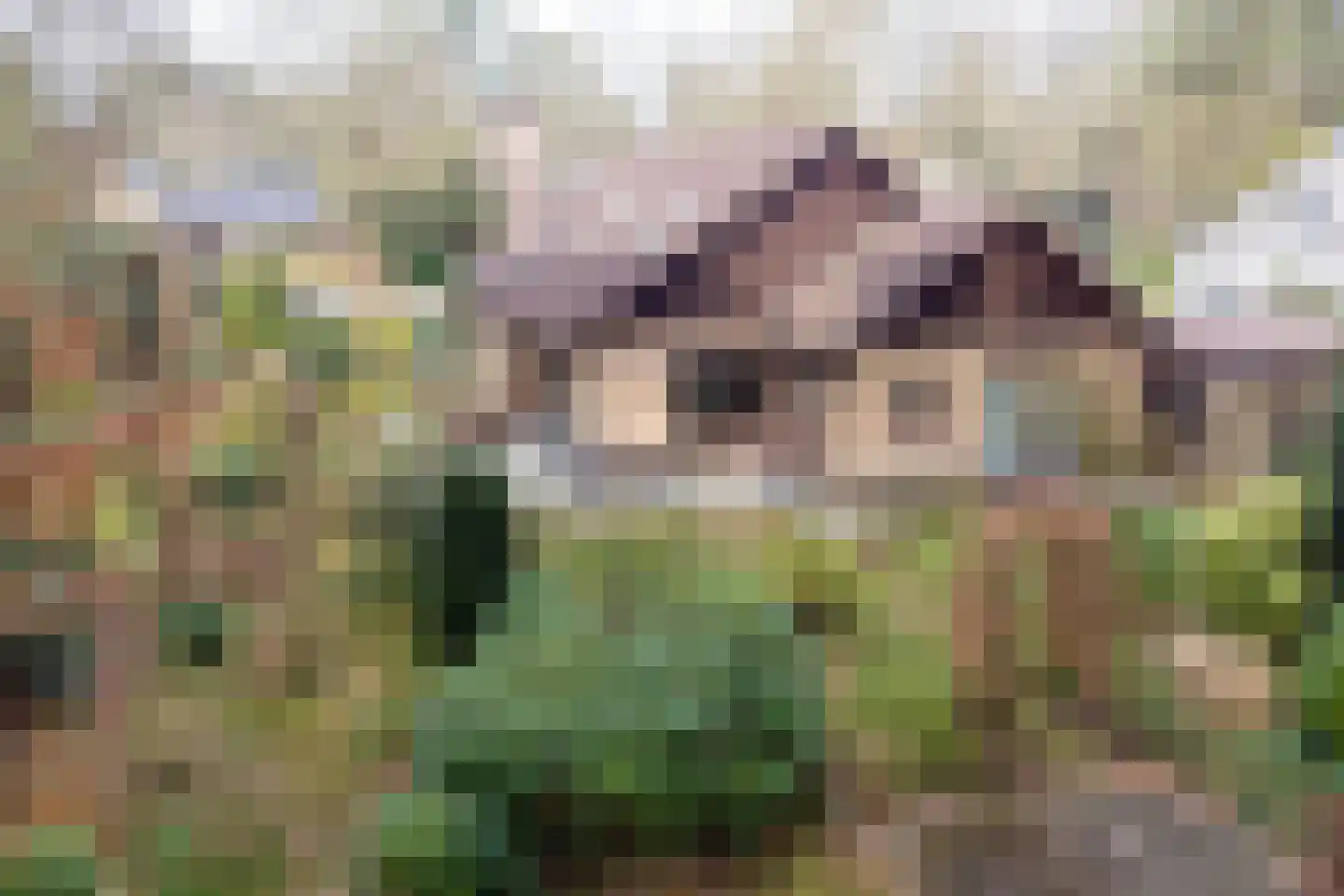 F.A. Molijnlaan 76 Nunspeet thumbnail 31