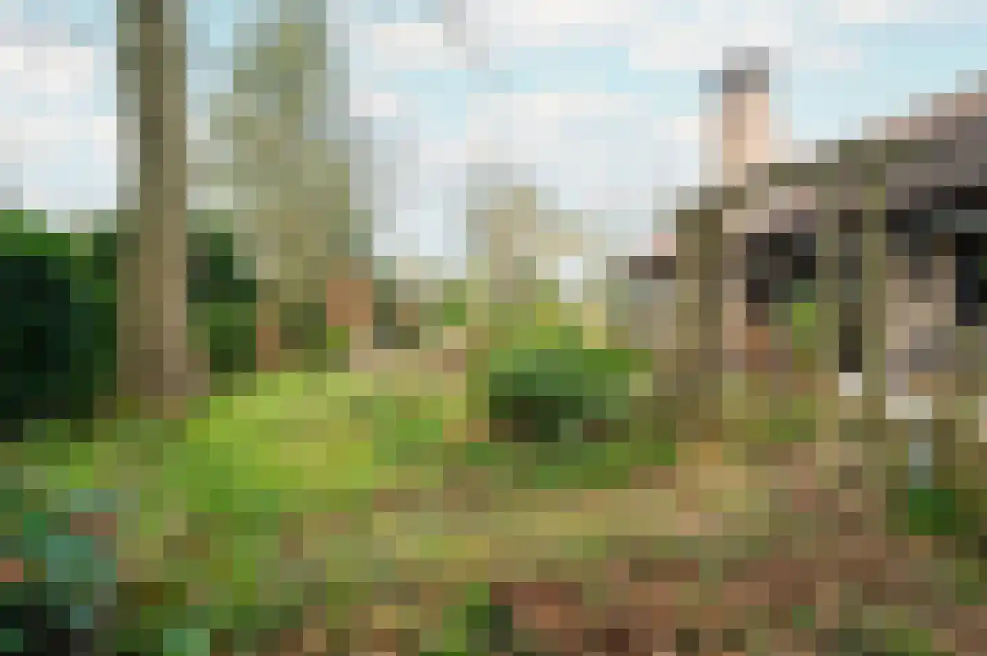 F.A. Molijnlaan 76 Nunspeet thumbnail 33