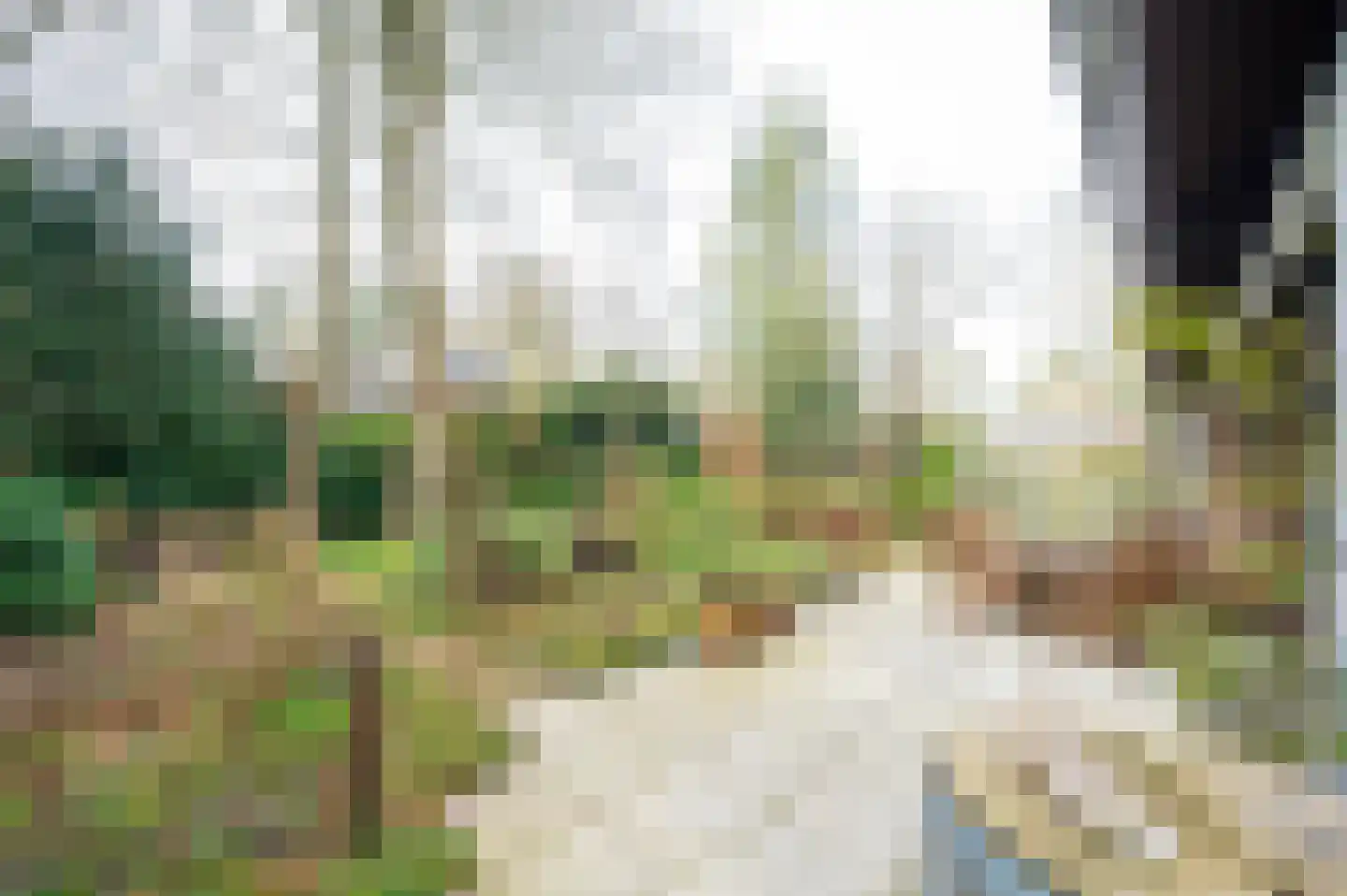 F.A. Molijnlaan 76 Nunspeet thumbnail 34