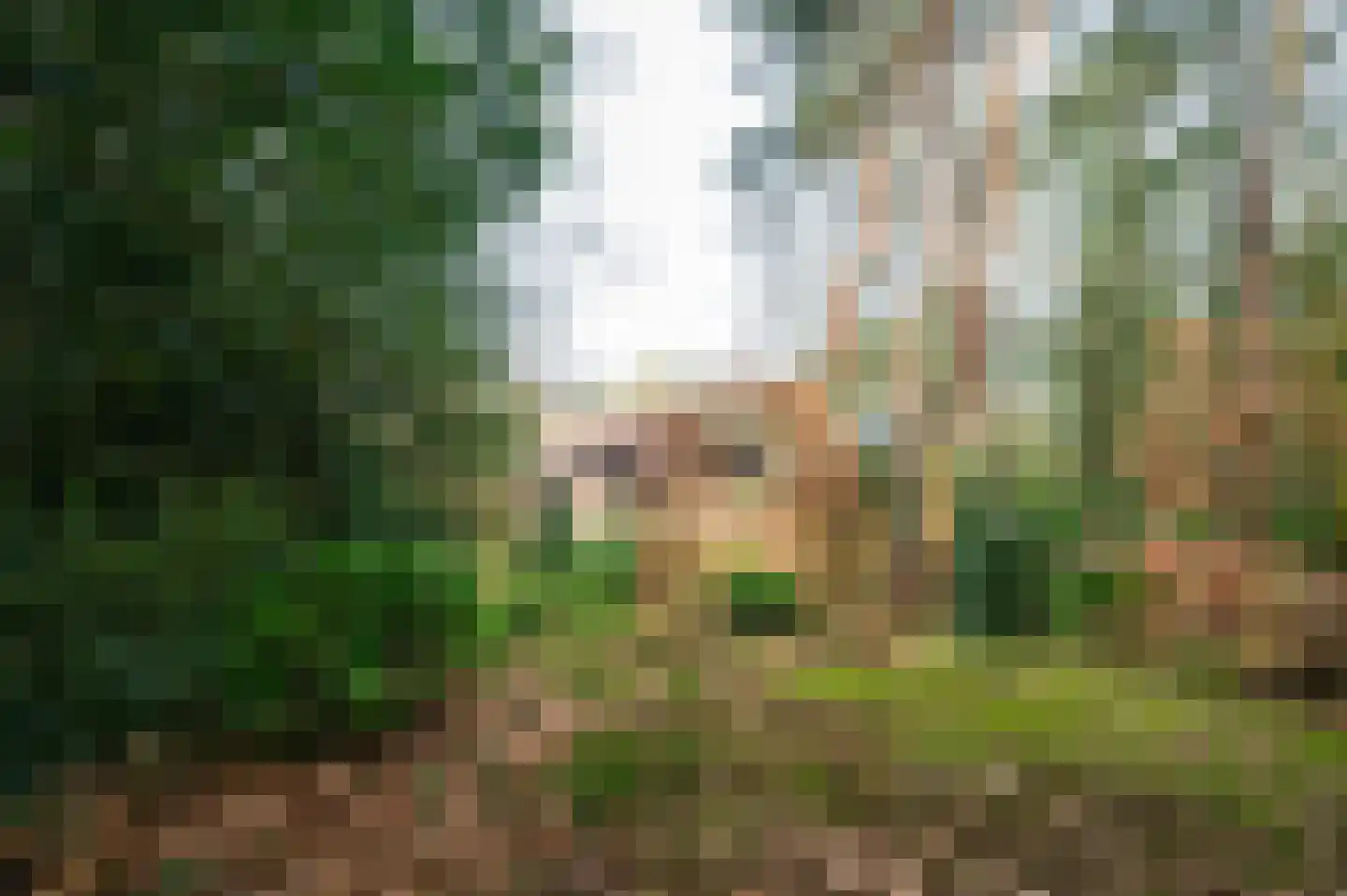 F.A. Molijnlaan 76 Nunspeet thumbnail 35