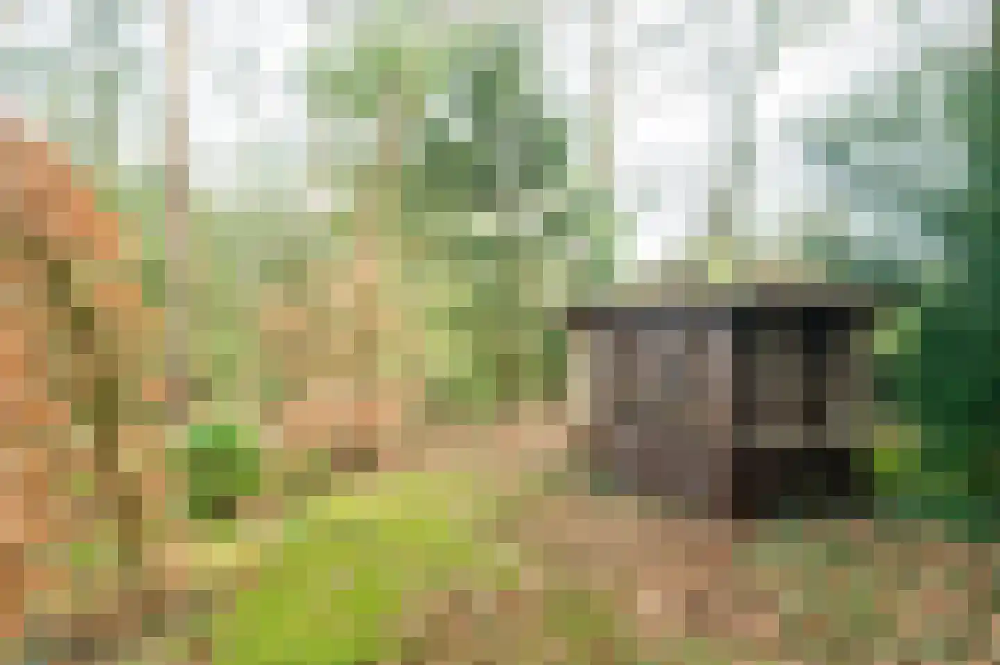 F.A. Molijnlaan 76 Nunspeet thumbnail 37