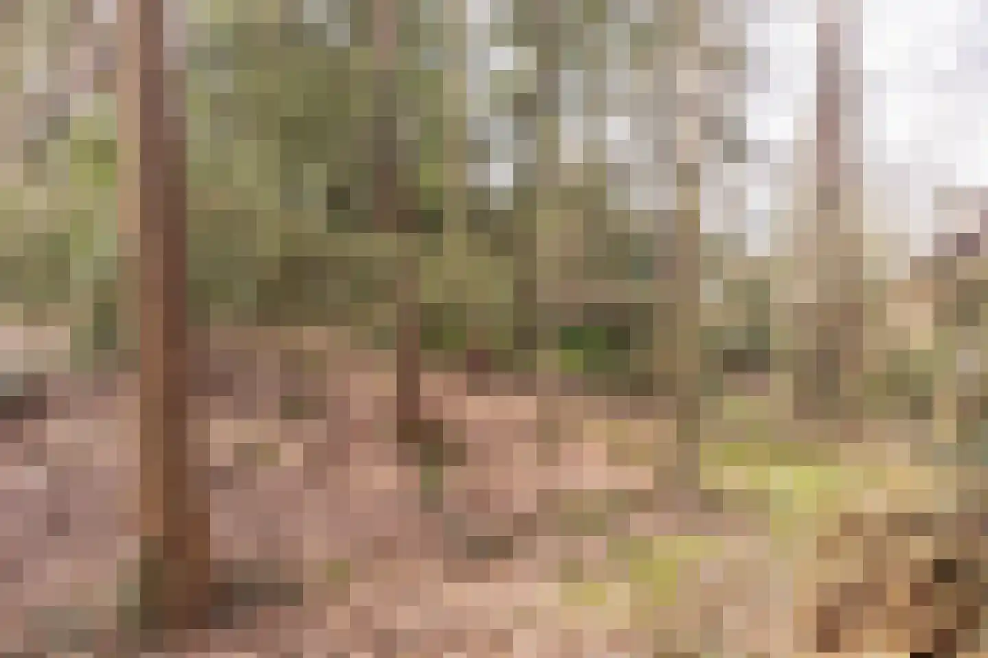 F.A. Molijnlaan 76 Nunspeet thumbnail 38