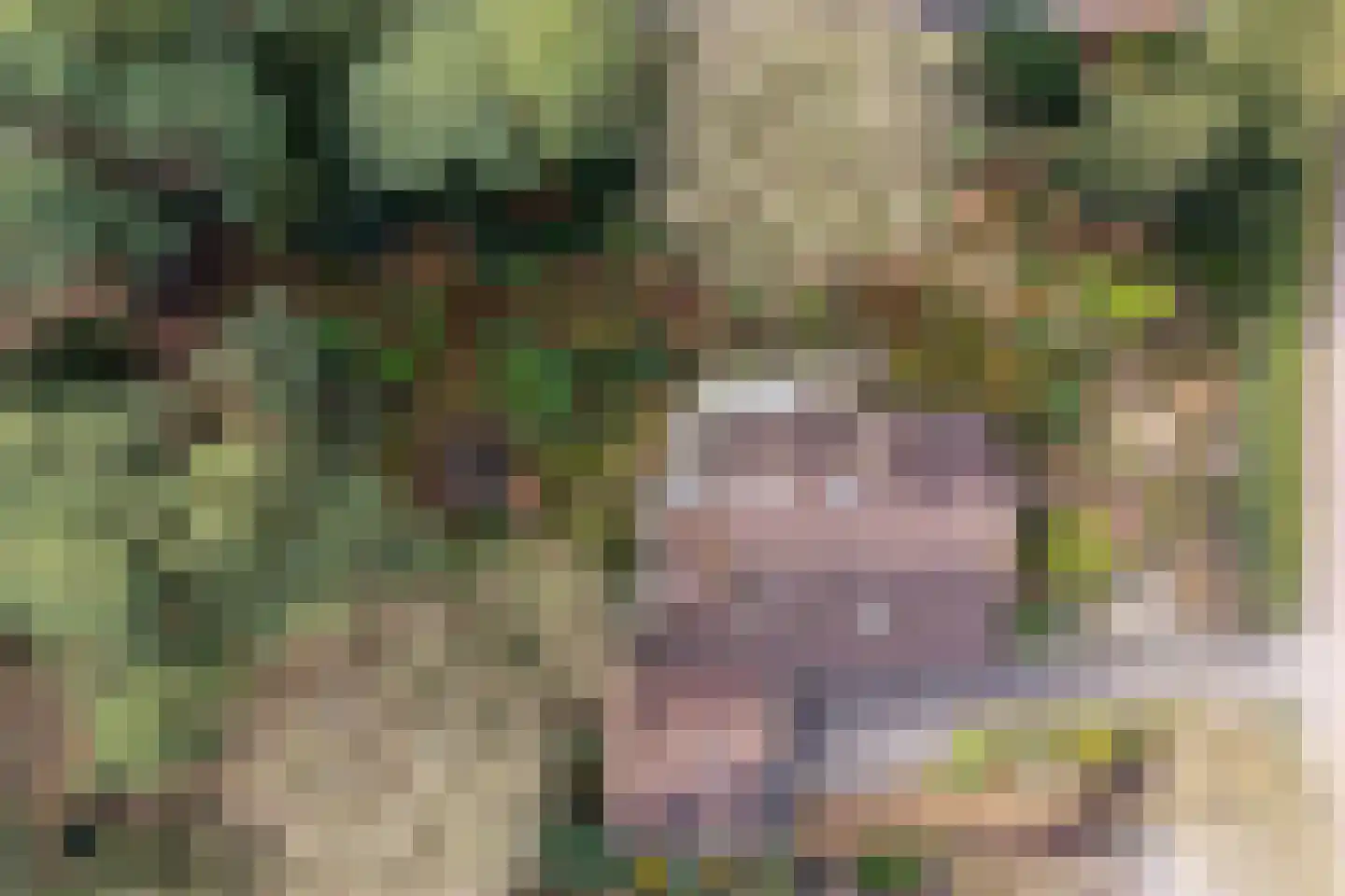 F.A. Molijnlaan 76 Nunspeet thumbnail 39