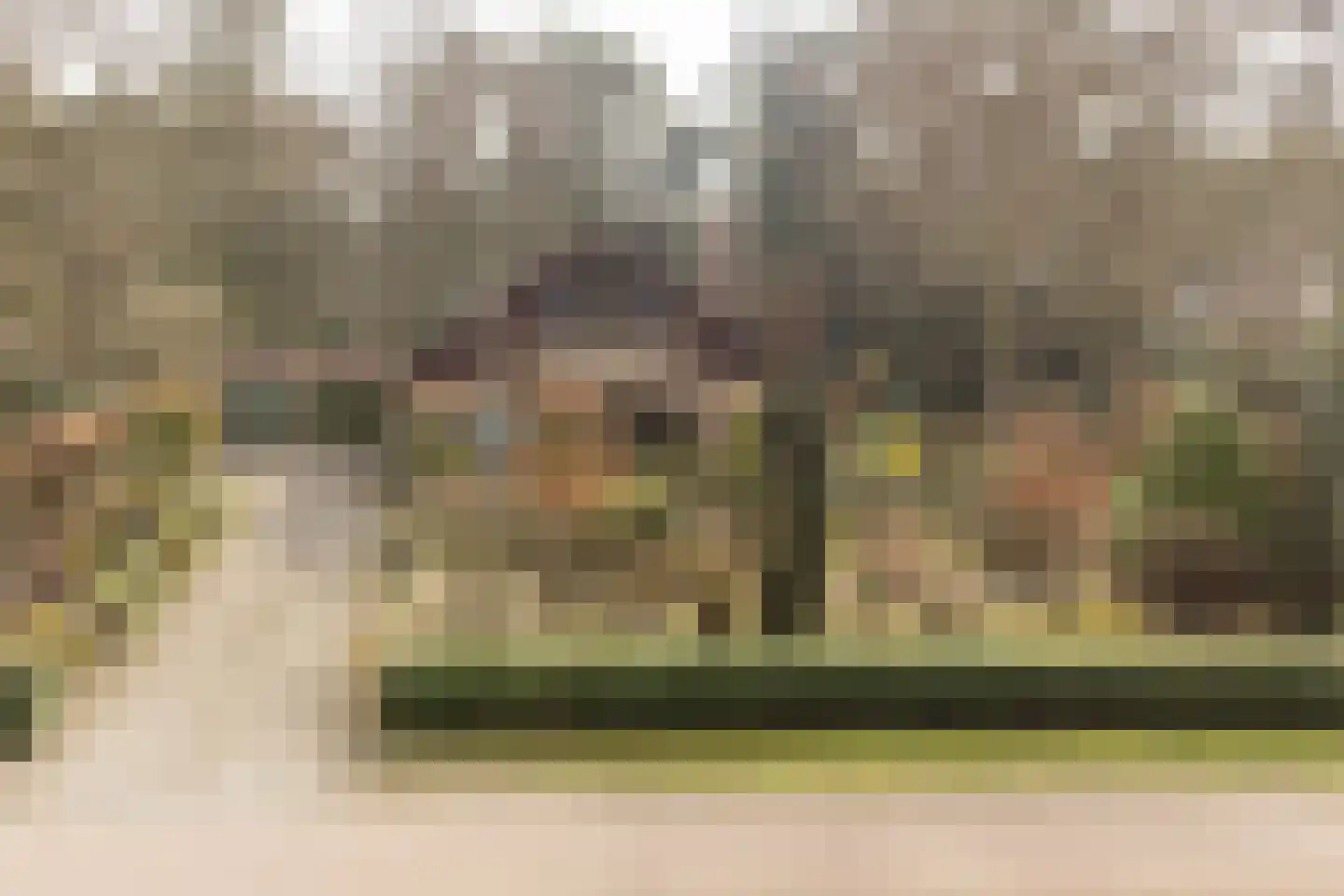 F.A. Molijnlaan 76 Nunspeet thumbnail 4
