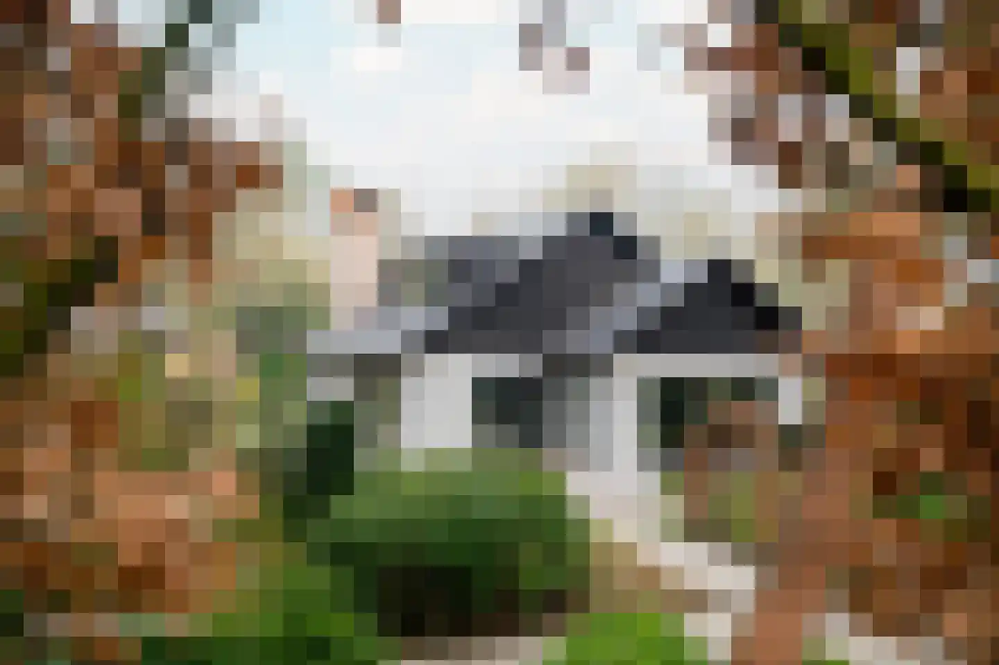 F.A. Molijnlaan 76 Nunspeet thumbnail 6