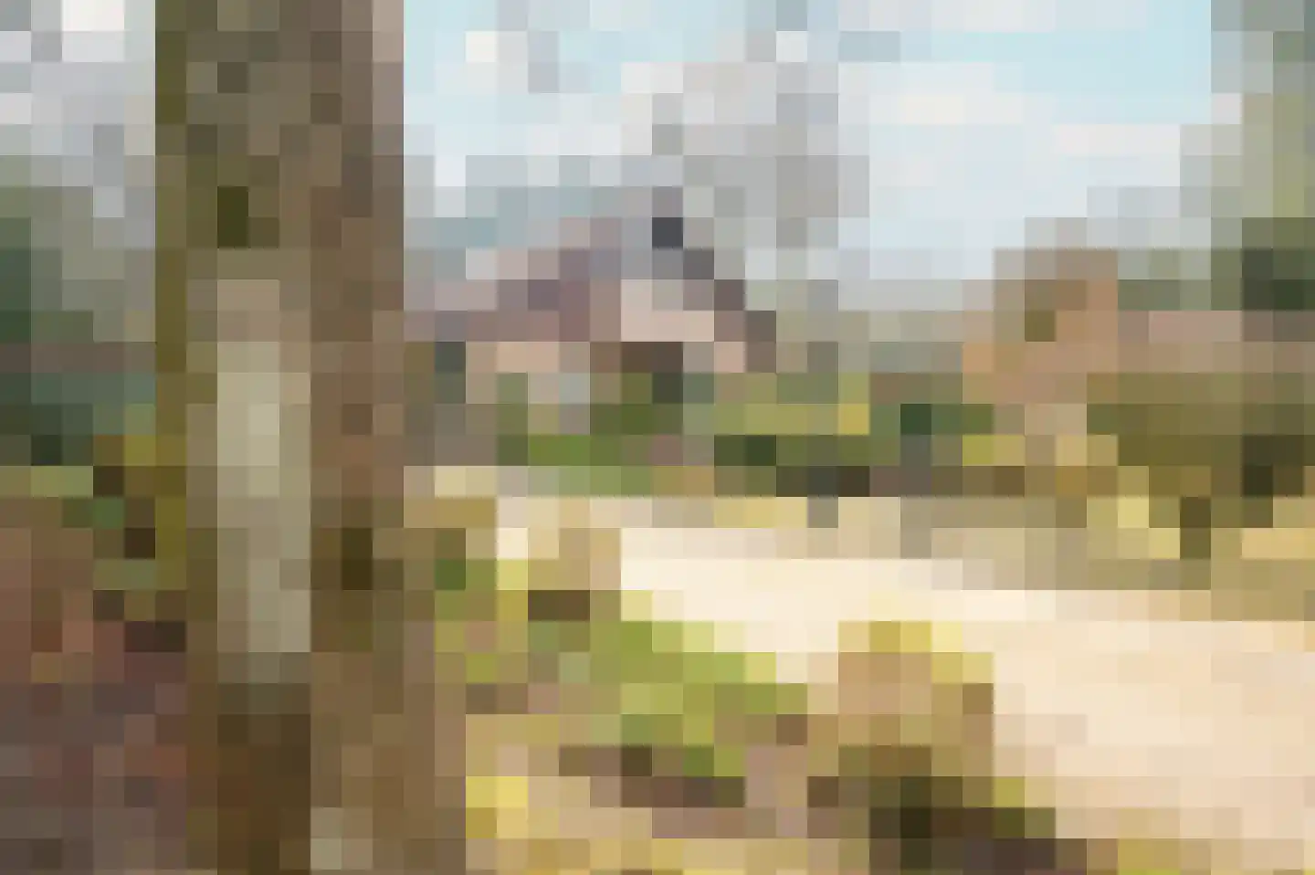 F.A. Molijnlaan 76 Nunspeet thumbnail 9