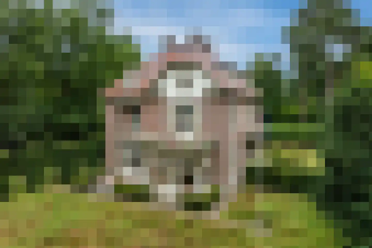 F.A. Molijnlaan 88 Nunspeet thumbnail 4