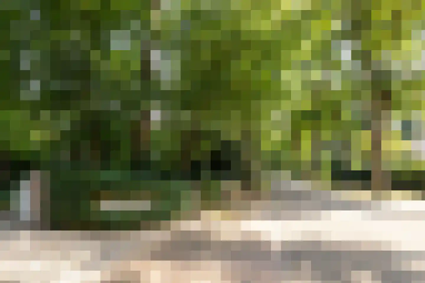 F.A. Molijnlaan 88 Nunspeet thumbnail 5