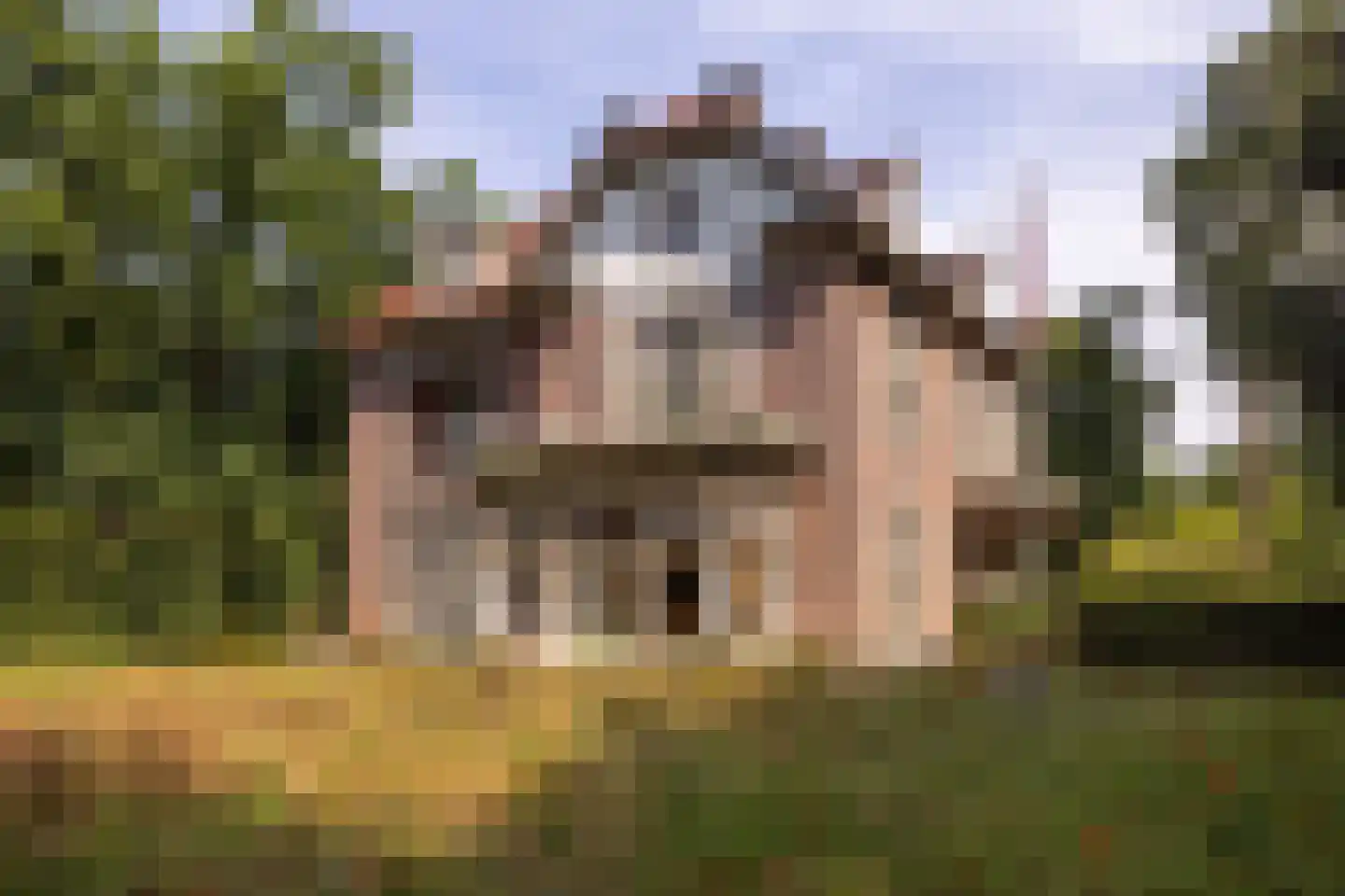 F.A. Molijnlaan 88 Nunspeet thumbnail 68