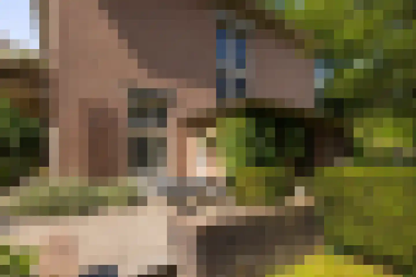 F.A. Molijnlaan 88 Nunspeet thumbnail 69