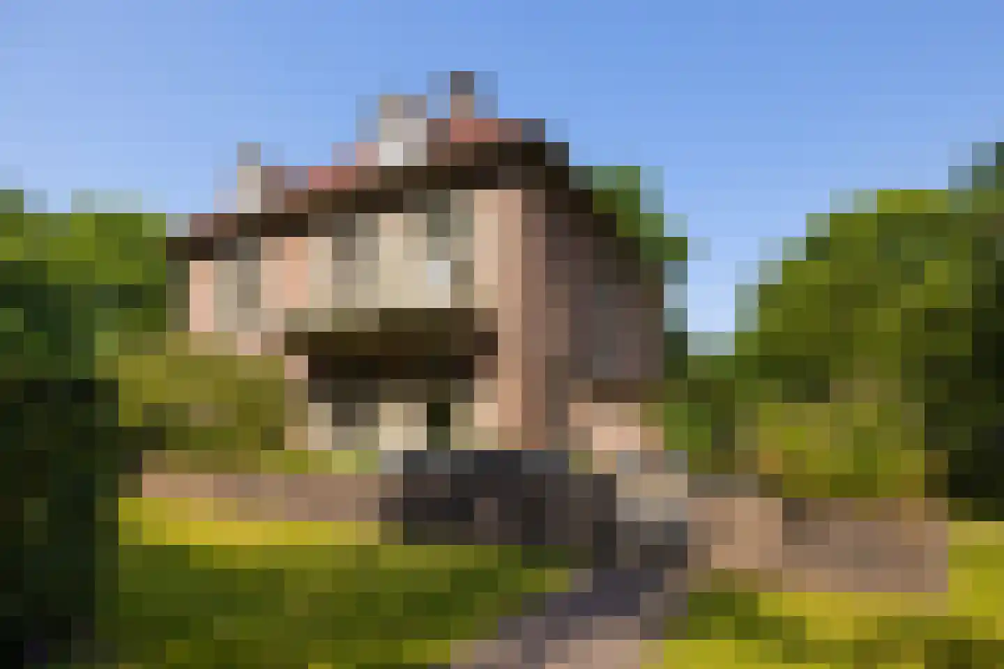 F.A. Molijnlaan 88 Nunspeet thumbnail 79