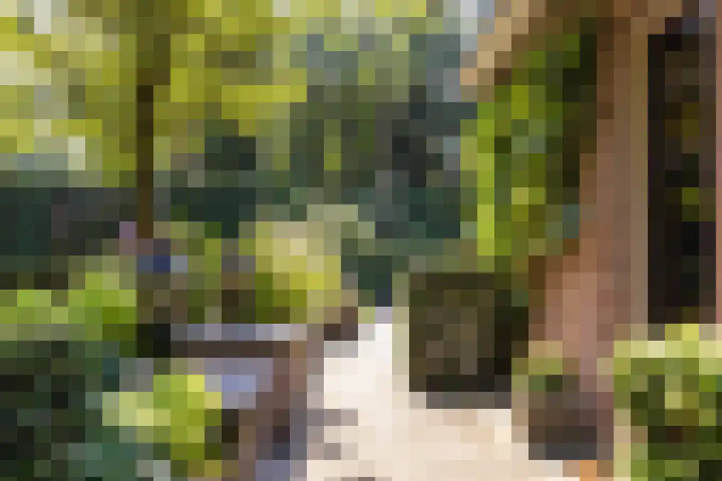 F.A. Molijnlaan 88 Nunspeet thumbnail 8