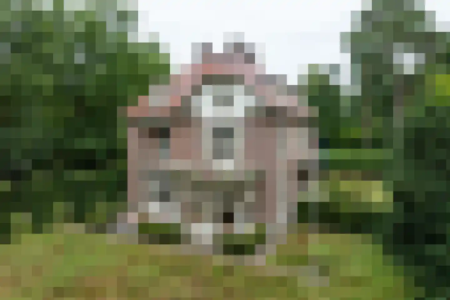F.A. Molijnlaan 88 Nunspeet thumbnail 80