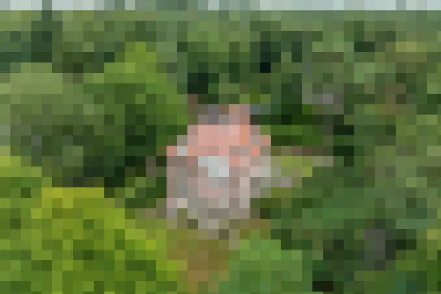 F.A. Molijnlaan 88 Nunspeet thumbnail 81